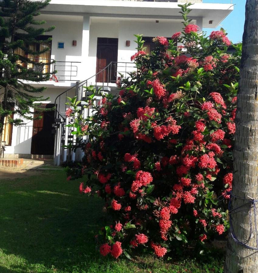 Dreamvillage Dodanduwa Dış mekan fotoğraf