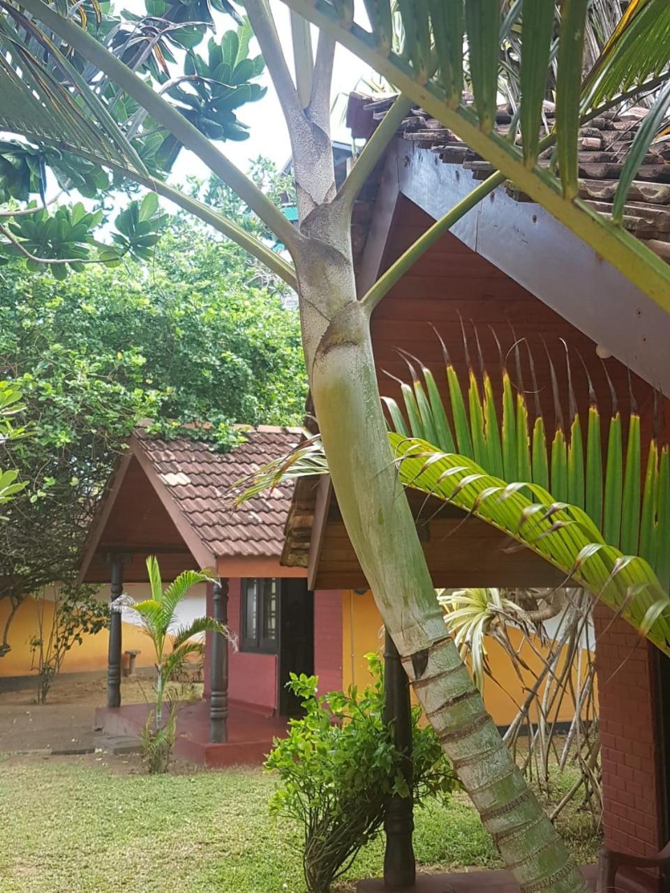 Dreamvillage Dodanduwa Dış mekan fotoğraf
